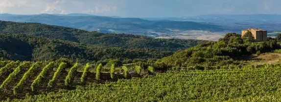 986071408316913ca01_bruno1 copy